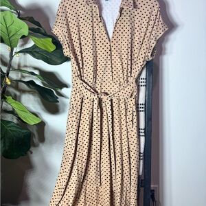 MSK Tan Polka Dot Midi Dress